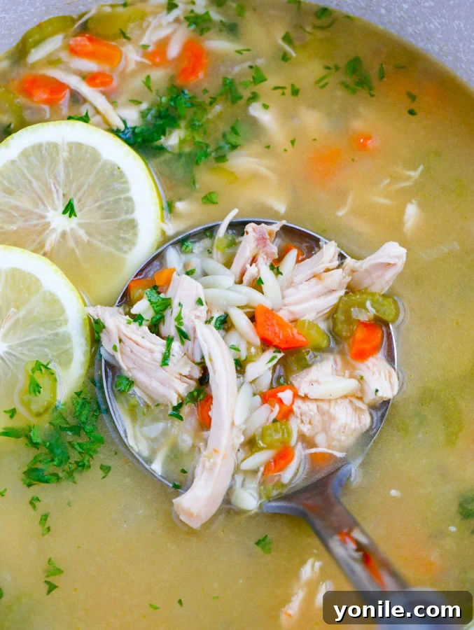 Zesty Lemon Chicken Orzo Delight 5 A ladle scooping hot Lemon Chicken Orzo Soup from a large pot.