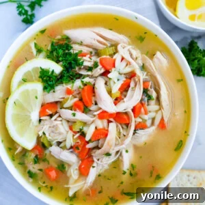 Lemon Chicken Orzo Soup serving suggestion in a bowl