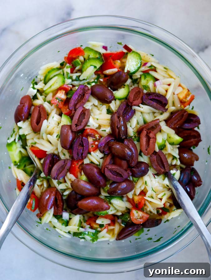 Whisking homemade Greek vinaigrette dressing