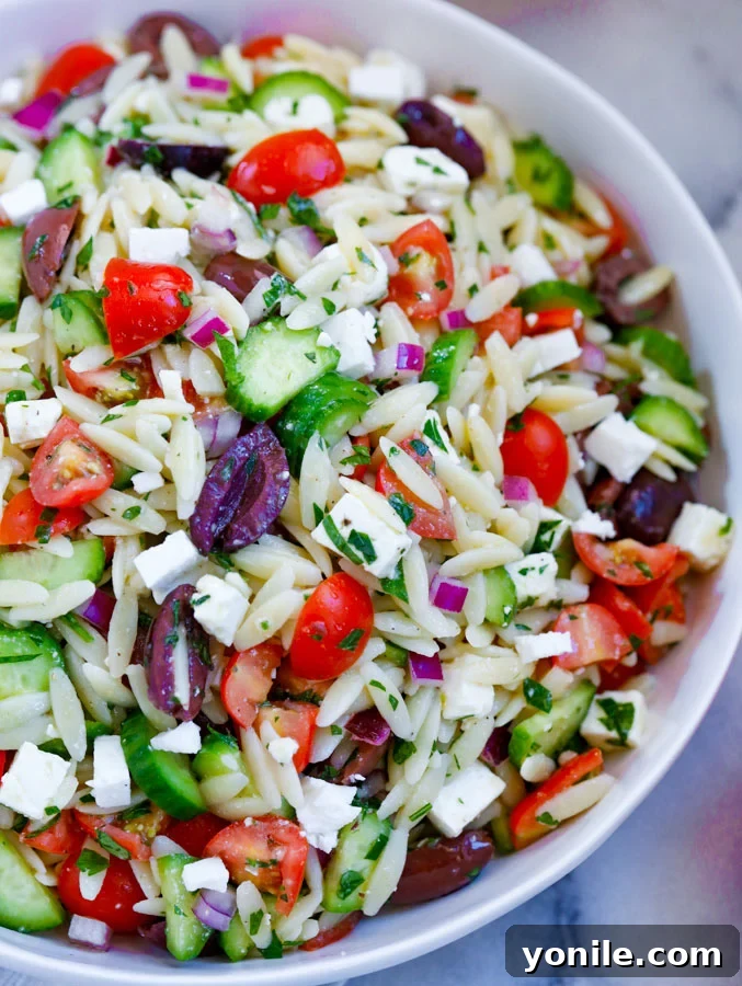Close-up of a serving of Greek Orzo Salad