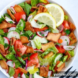 Lebanese Fattoush salad served as appetizer in a white bowl
