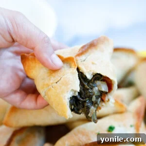 Traditional Lebanese Spinach Pies 17 Lebanese Spinach Pies filling