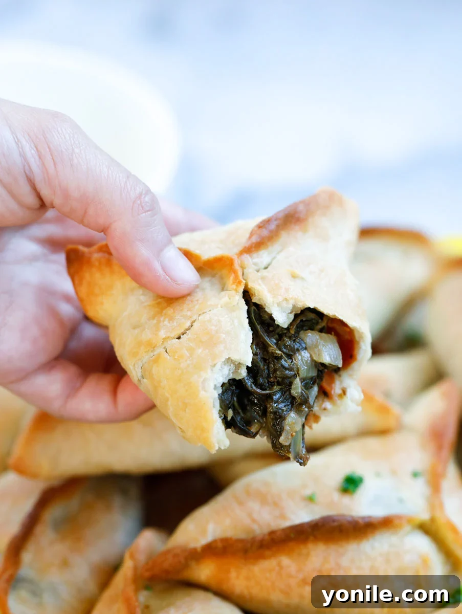 Traditional Lebanese Spinach Pies 3 a piece of spinach pie with a bite showing the filling