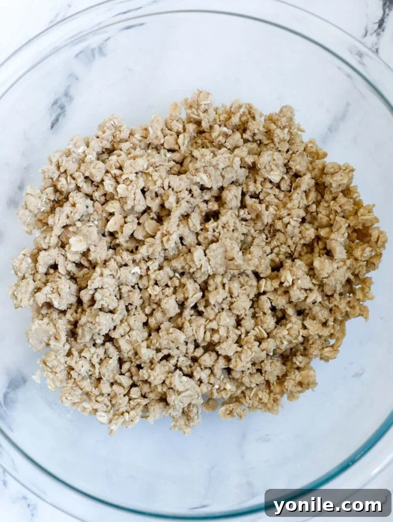 Mixed crisp topping ingredients in a bowl, showing the perfectly crumbly texture formed by working in the butter.