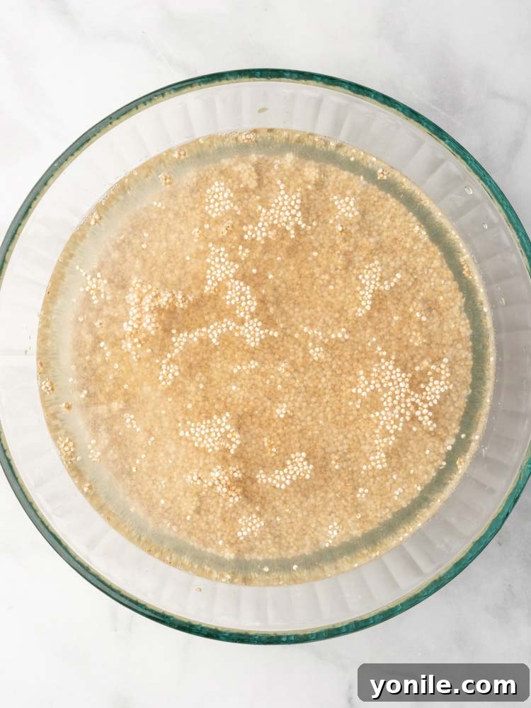 Effortless Fluffy Quinoa 4 quinoa soaked in a bowl