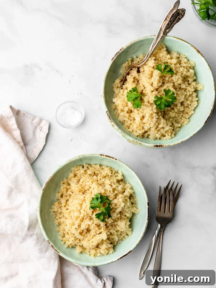 Effortless Fluffy Quinoa 7 two bowls of cooked quinoa garnished with parsley