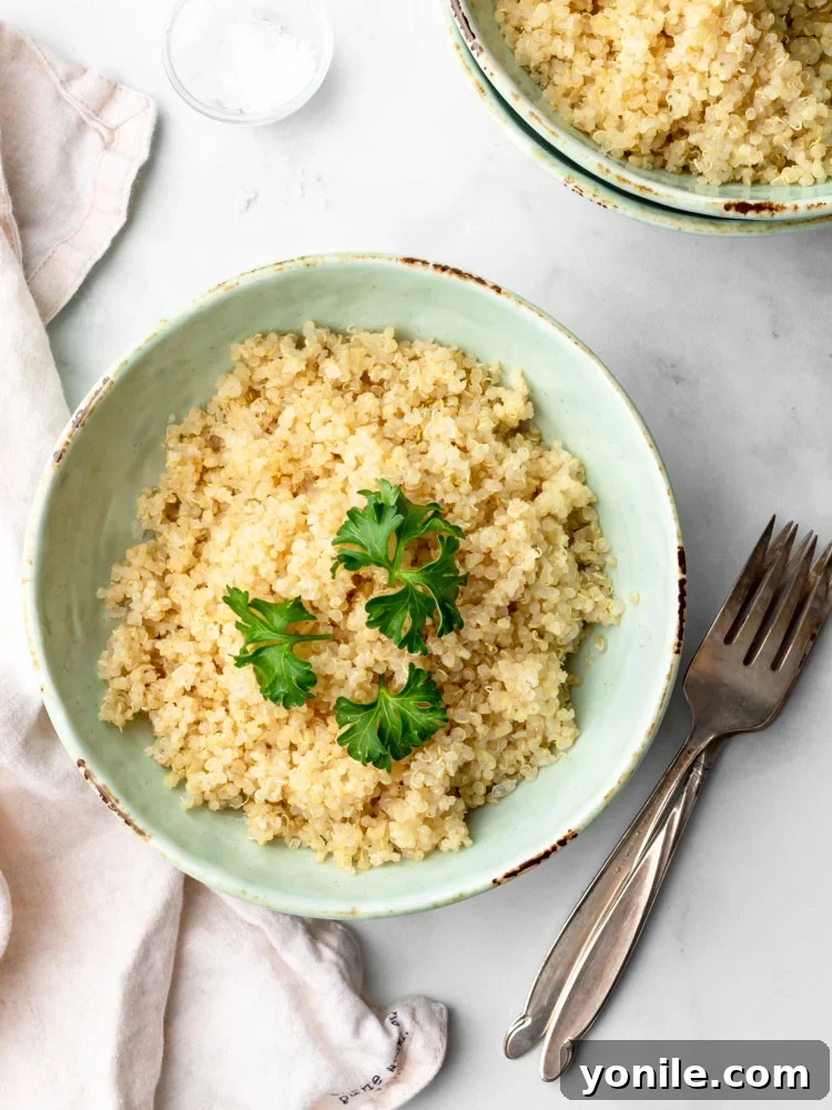 Effortless Fluffy Quinoa 8 cooked quinoa in a plate garnished with parsley