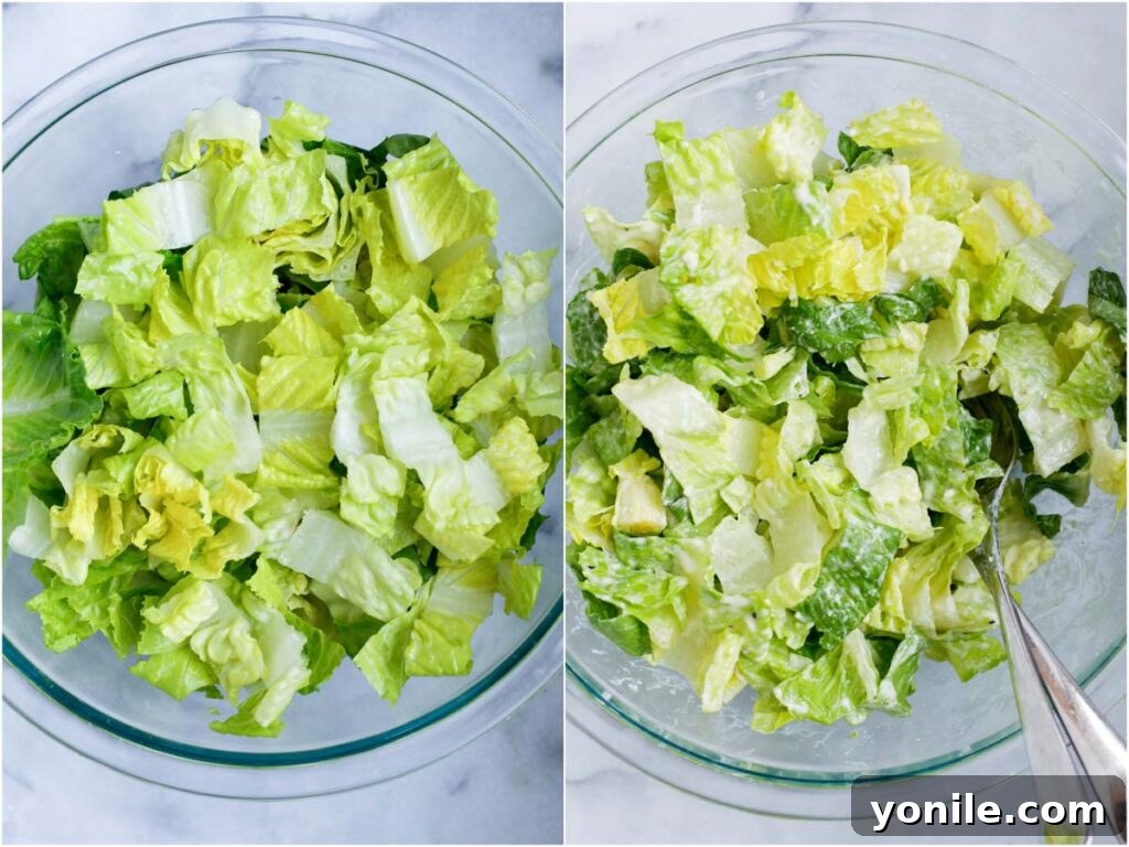 romaine lettuce tossed with creamy caesar dressing in a bowl