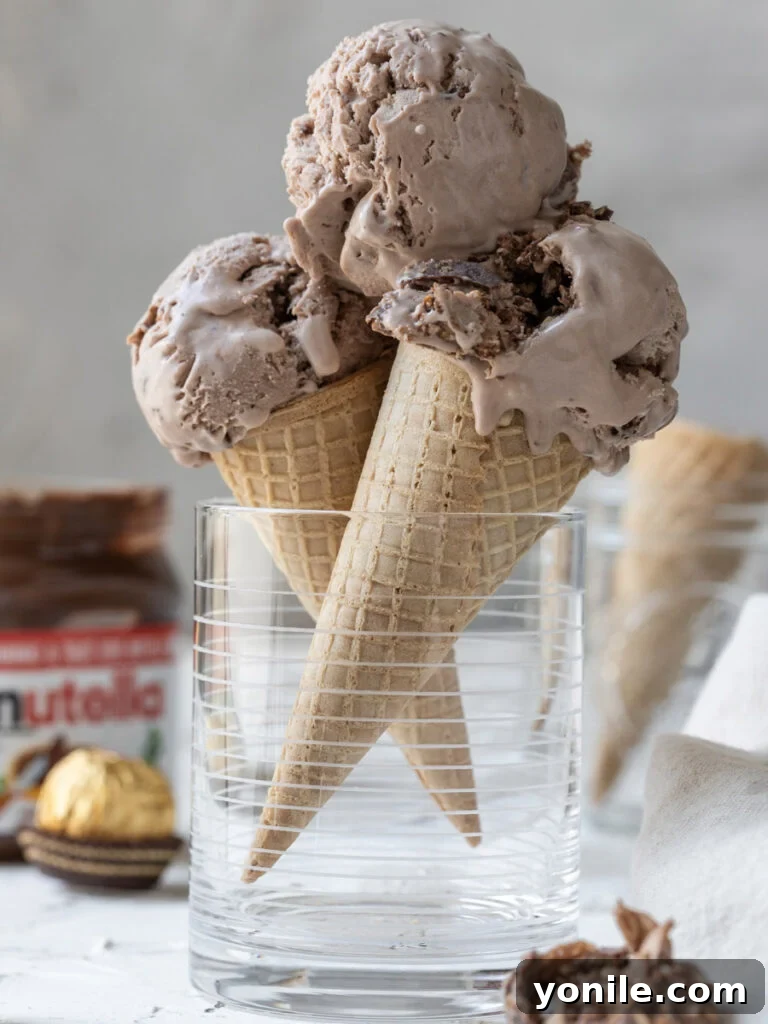 Nutella Swirl Indulgence 2 Scoops of homemade Nutella ice cream on a crispy waffle cone, topped with a piece of Ferrero Rocher.