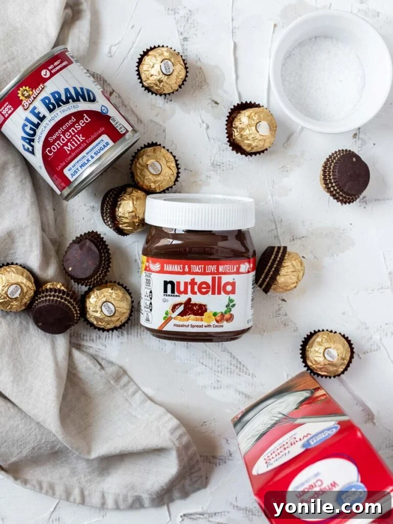 Nutella Swirl Indulgence 3 A selection of ingredients for Nutella Ice Cream, including sweetened condensed milk, Nutella, heavy cream, Ferrero Rocher, and salt.