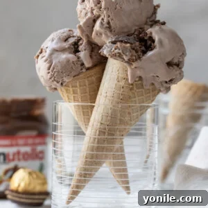 Nutella Swirl Indulgence 7 A scoop of Nutella ice cream on a cone.