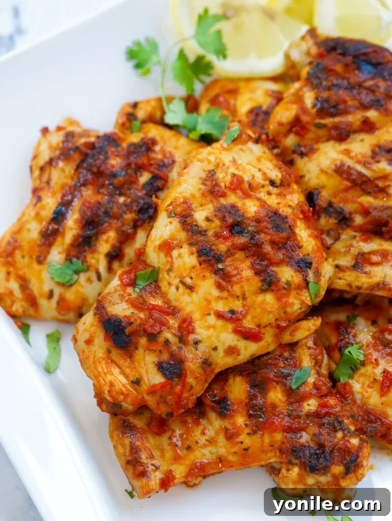 Harissa-Infused Grilled Chicken Thighs 6 A stunning plate of grilled Harissa Chicken thighs, glistening with marinade and garnished, showcasing beautiful char marks.