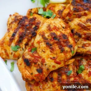 A plate of Harissa Chicken