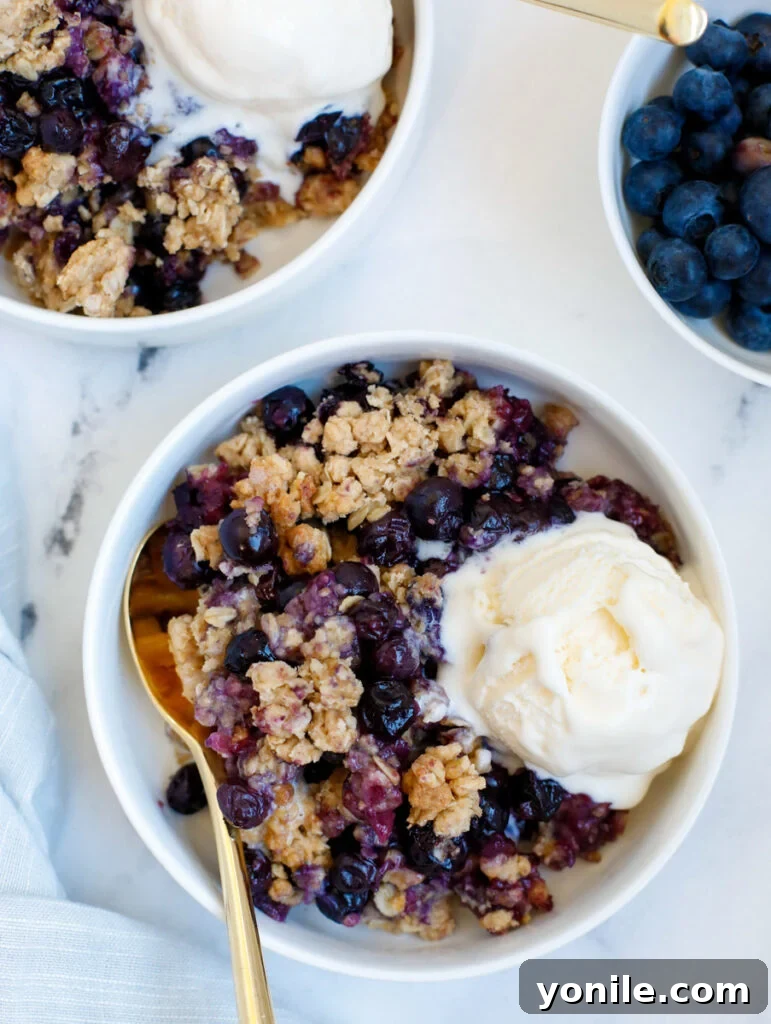 Perfect Homemade Blueberry Crisp 2 Bowls of freshly baked blueberry crisp, topped with a golden, crumbly oat mixture, ready to be served.