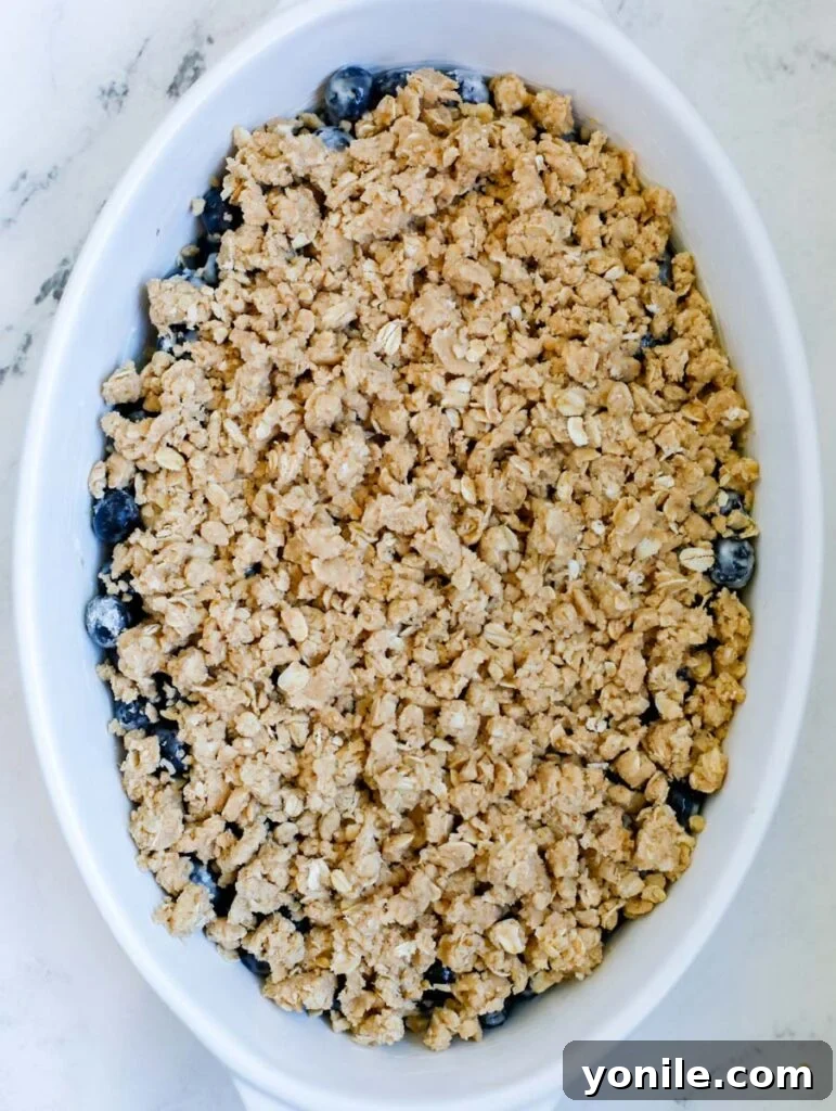 Perfect Homemade Blueberry Crisp 5 Fresh blueberries tossed with cornstarch and sugar in a baking dish, ready for the crisp topping.