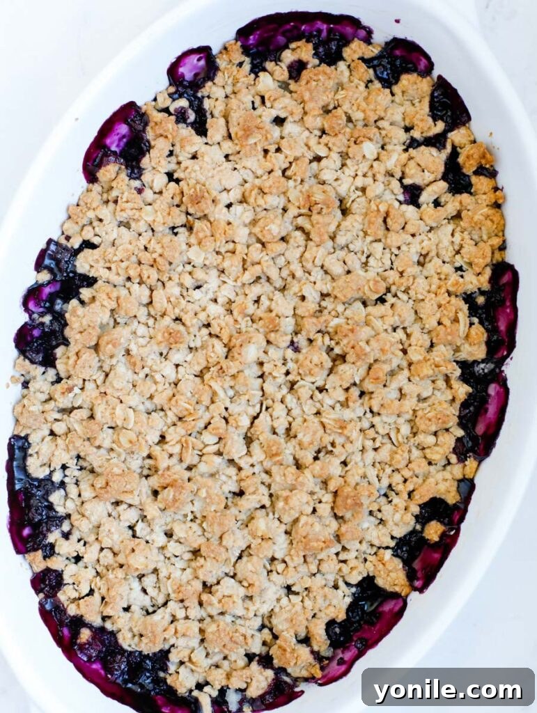Perfect Homemade Blueberry Crisp 6 A freshly baked blueberry crisp, golden brown and bubbling, straight out of the oven in a glass baking dish.