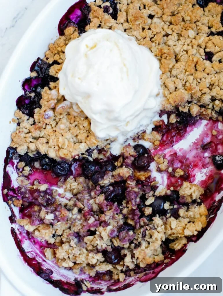 Perfect Homemade Blueberry Crisp 7 A bowl of warm blueberry crisp with a scoop of melting vanilla ice cream on top.