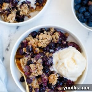 Delicious Blueberry Crisp ready to serve