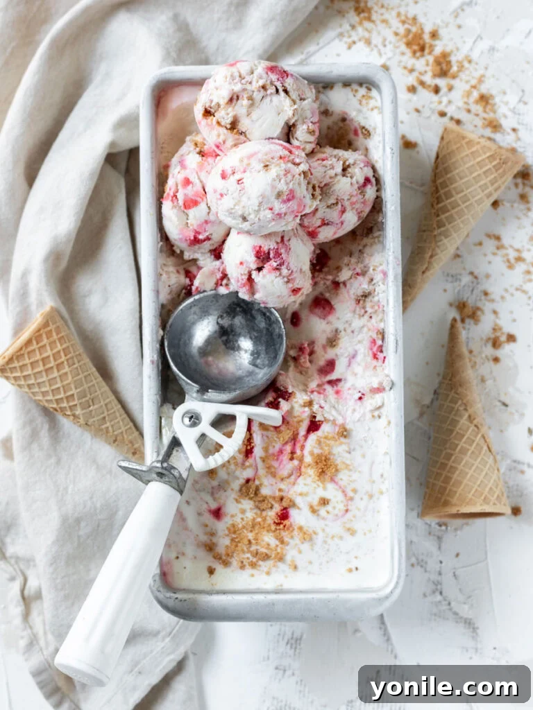 Velvety Strawberry Cheesecake Delight 2 scoops of Strawberry Cheesecake Ice Cream