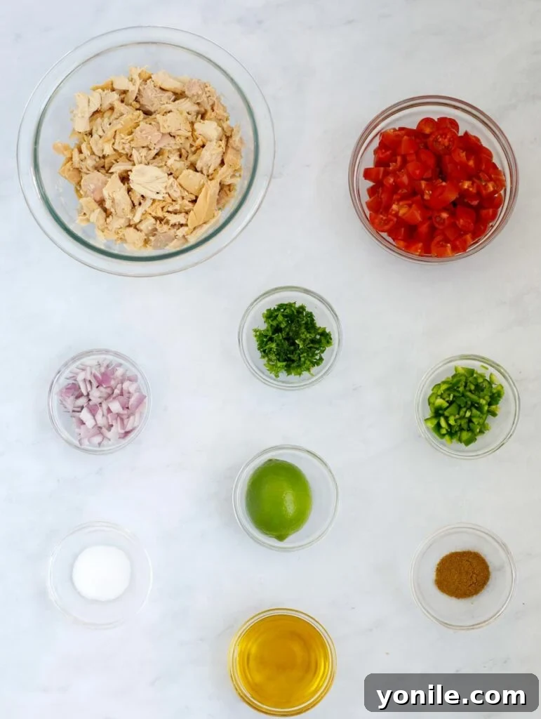 A collection of fresh ingredients laid out, including canned tuna, cherry tomatoes, red onion, jalapeños, parsley, olive oil, lemon, and cumin powder, prepared for Tuna Ceviche.
