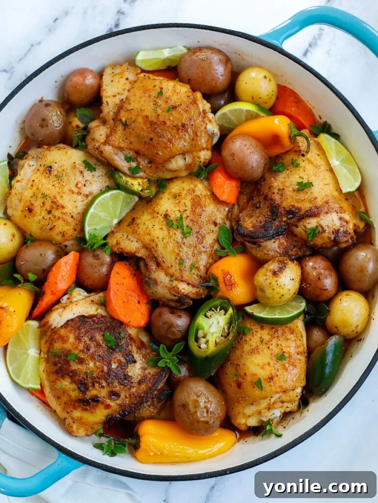 Hearty Chicken and Potato Bake 6 Overhead shot of Chicken and Potato Bake in a pot, garnished and ready to serve