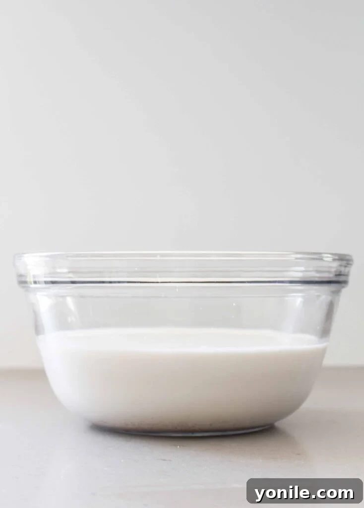 bowl of freshly strained almond milk, ready for flavoring