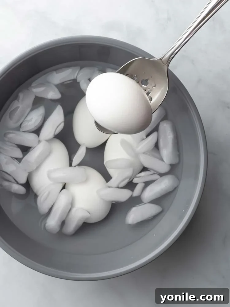 An egg being removed from the ice water bath, ready for peeling.