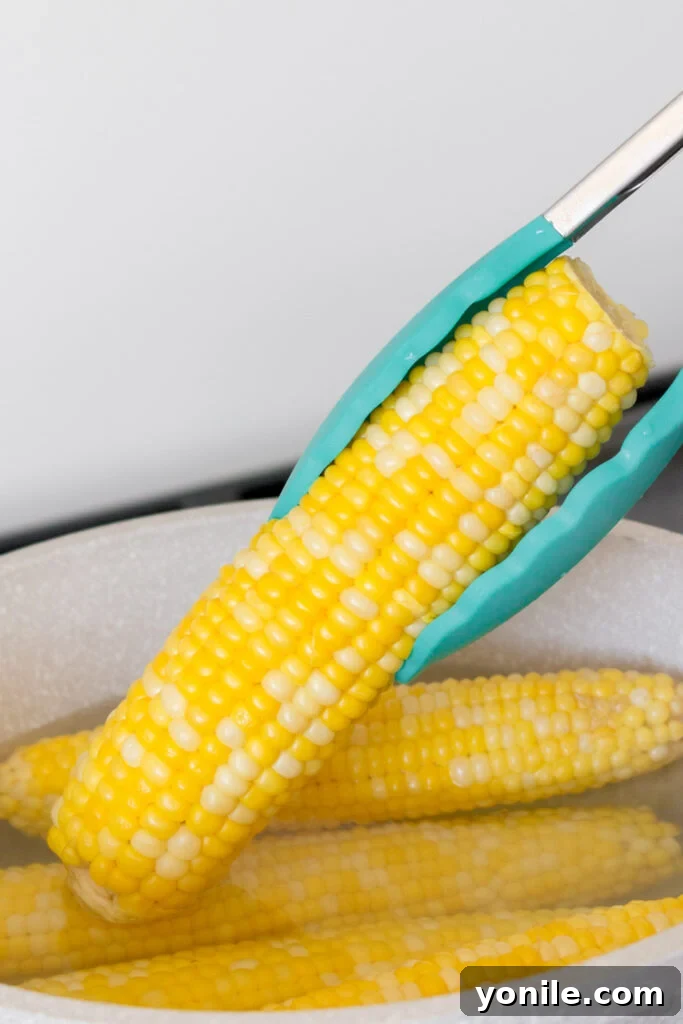 Boiling corn in a pot