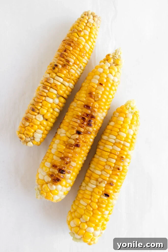 Grilled corn on the cob