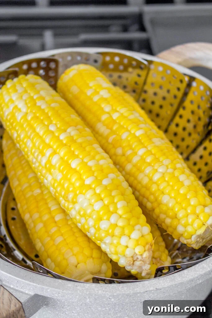 Steaming corn in a pot with a steamer insert