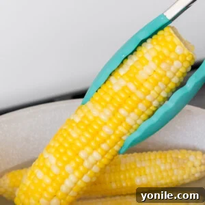 Perfectly cooked corn on the cob