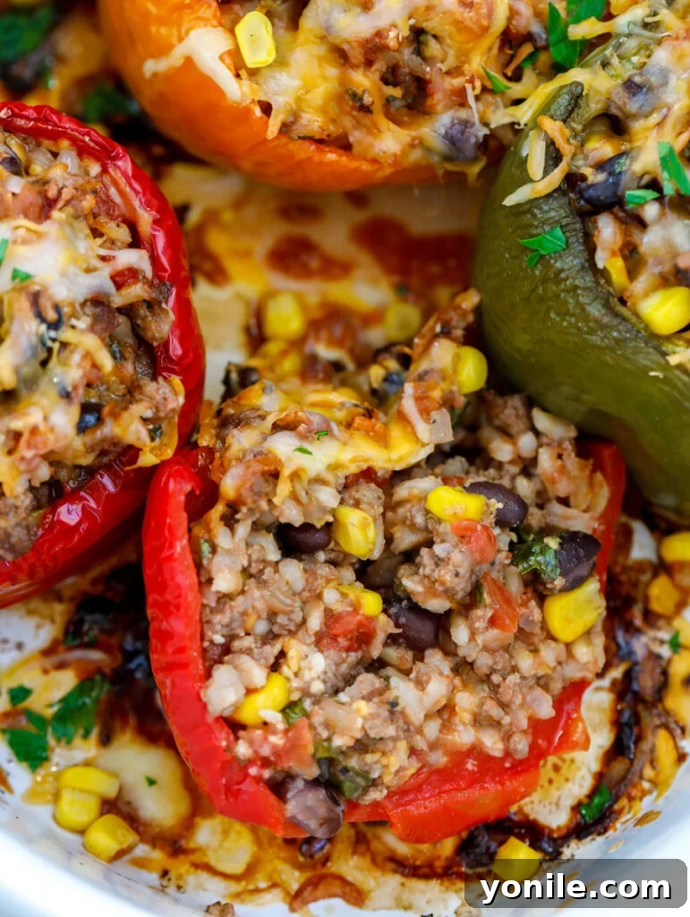 close up of Healthy Stuffed Peppers in a dish.