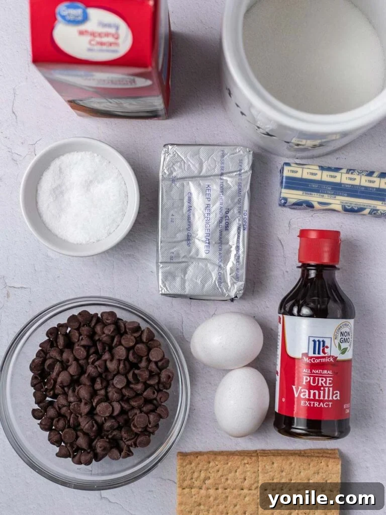 All the ingredients for the chocolate chip cheesecake laid out neatly on a counter, ready for preparation.