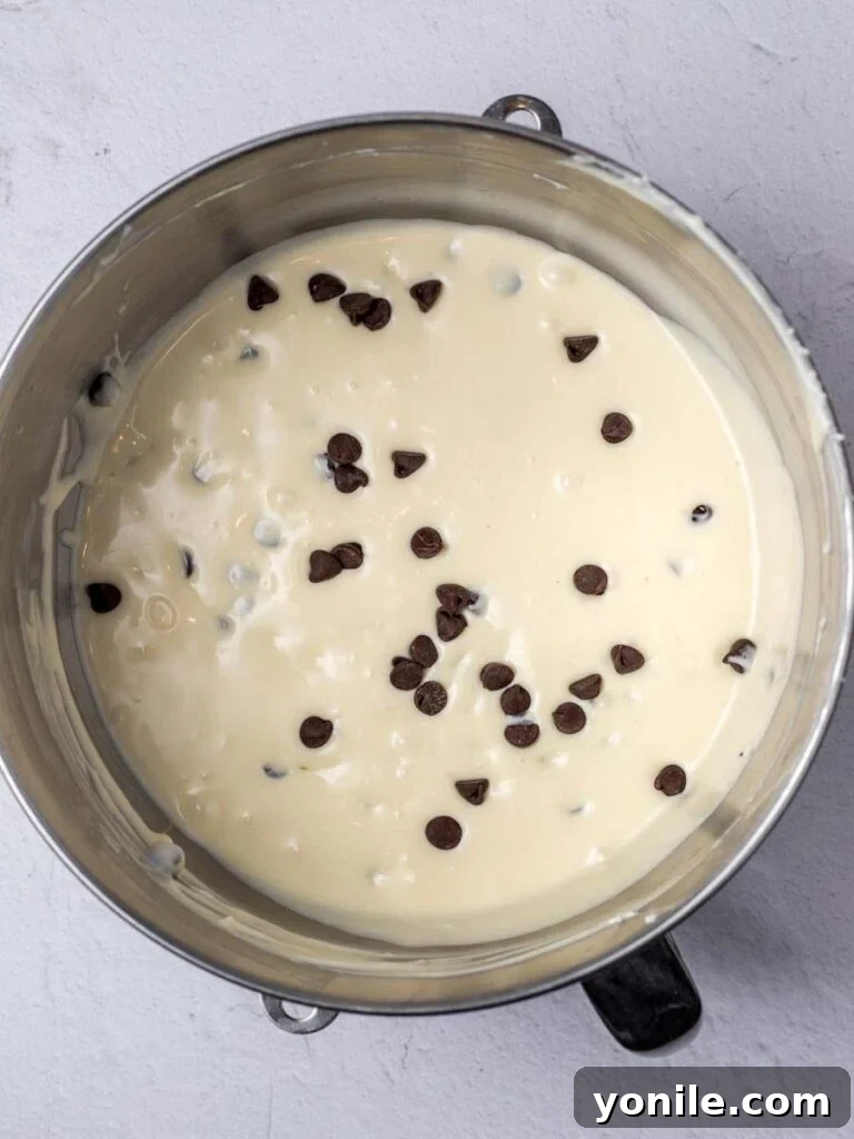 Top-down view of the smooth cheesecake batter, rich with chocolate chips, poured into the graham cracker crust in a springform pan.