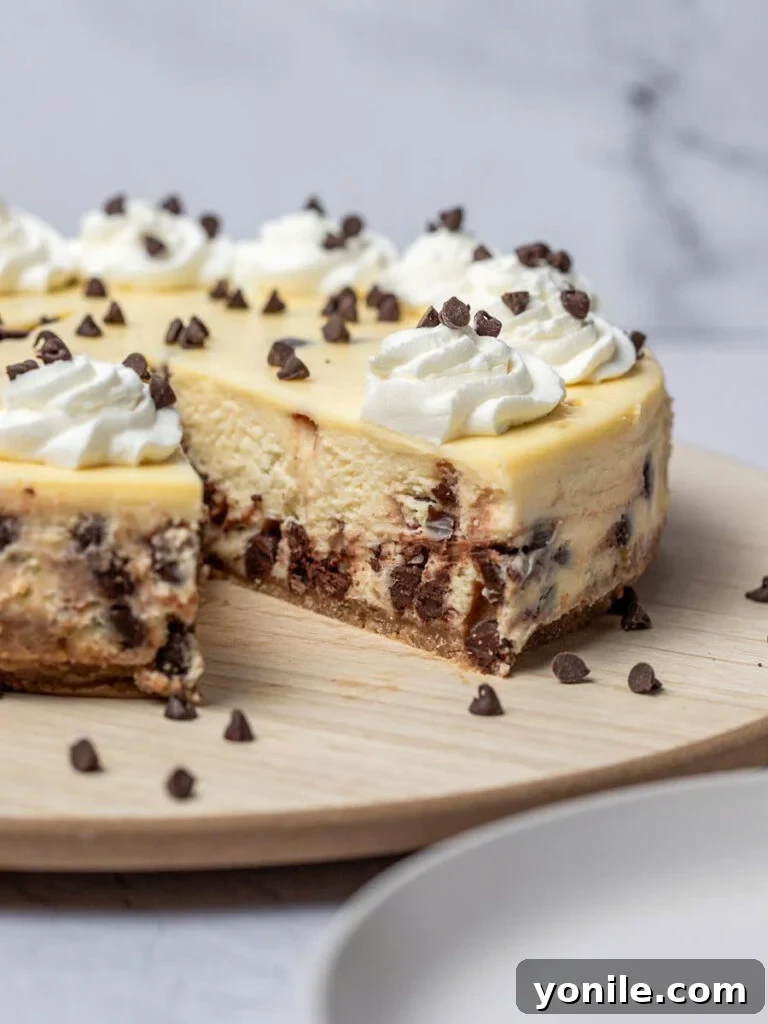 A perfectly cut slice of chocolate chip cheesecake showing the distinct layers of crust and creamy filling, ready to be enjoyed.