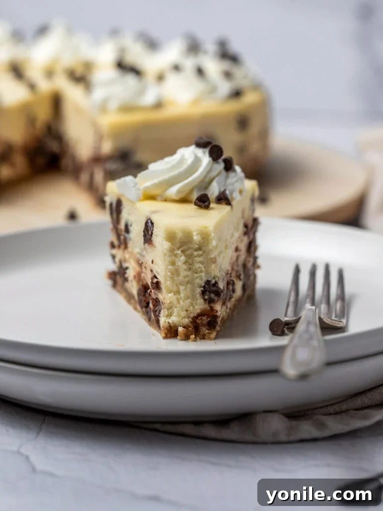 A close-up view of a slice of chocolate chip cheesecake with a bite taken out, highlighting the creamy texture and distribution of chocolate chips.