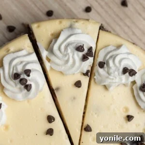 Top-down view of a homemade chocolate chip cheesecake with a slice perfectly cut out, showcasing its creamy texture and chocolate chips.