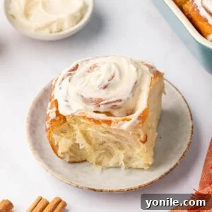 Cream cheese topped cinnamon roll on a plate.
