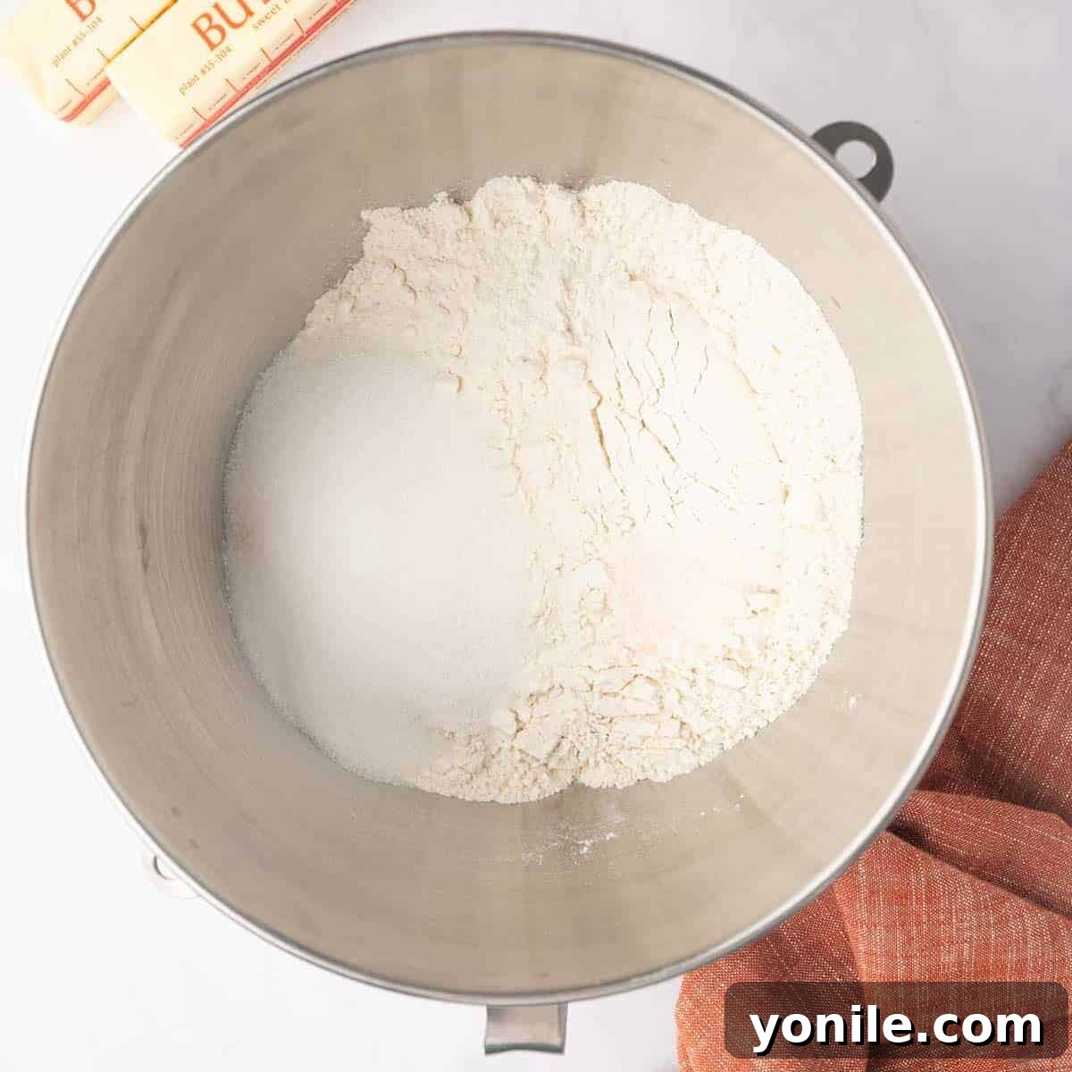 Dry ingredients including flour and salt are combined in a stand mixer bowl using a dough hook.