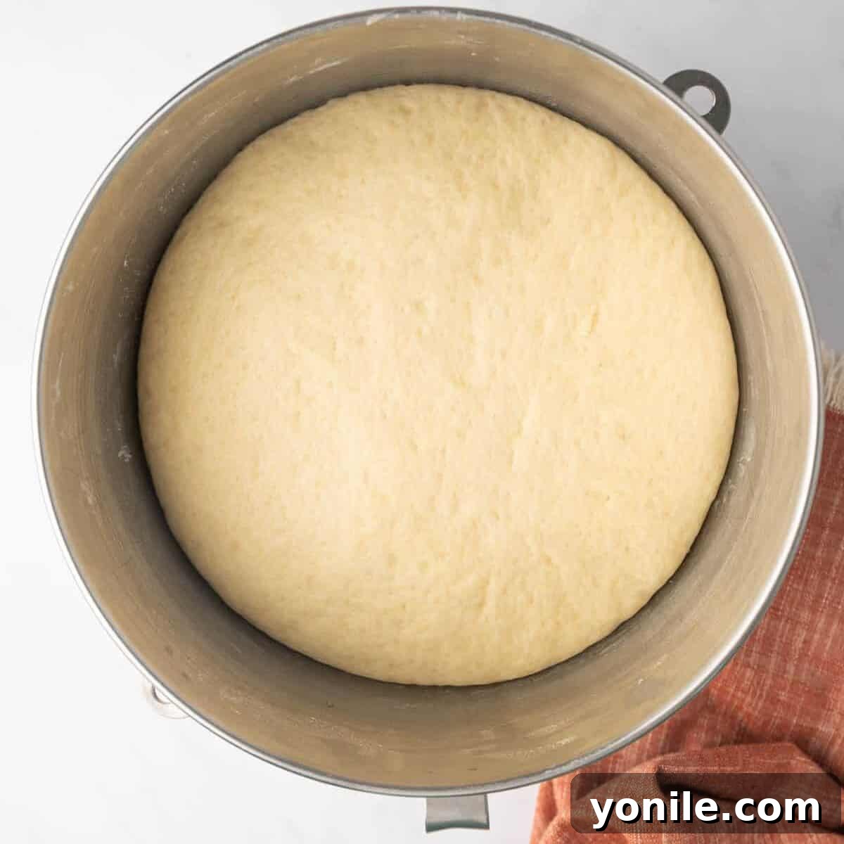 The smooth, soft cinnamon roll dough rises in a greased mixing bowl, covered with plastic wrap, until nearly doubled in size.