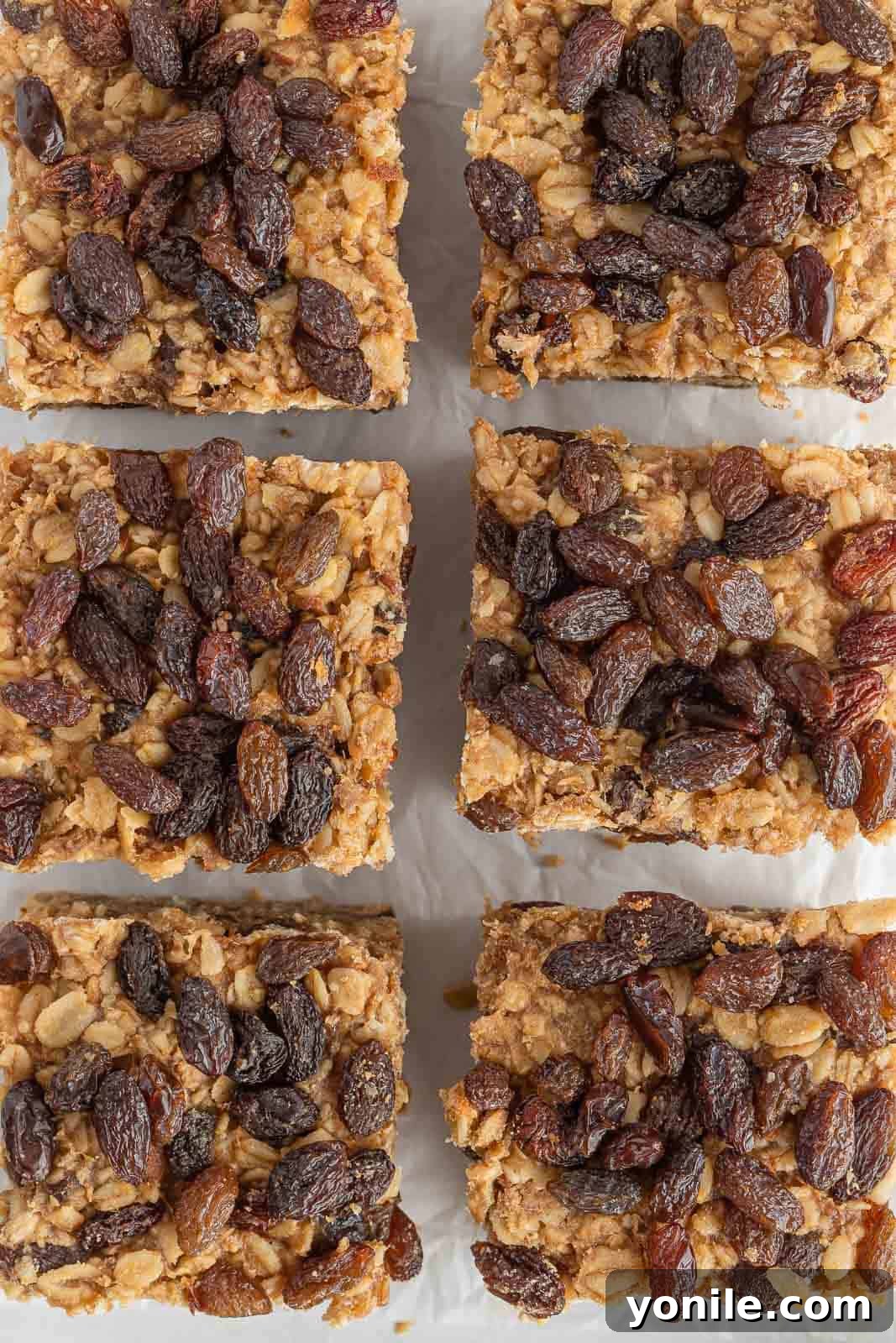 Freshly baked cinnamon raisin oatmeal squares arranged neatly on parchment paper, showcasing their golden-brown edges.