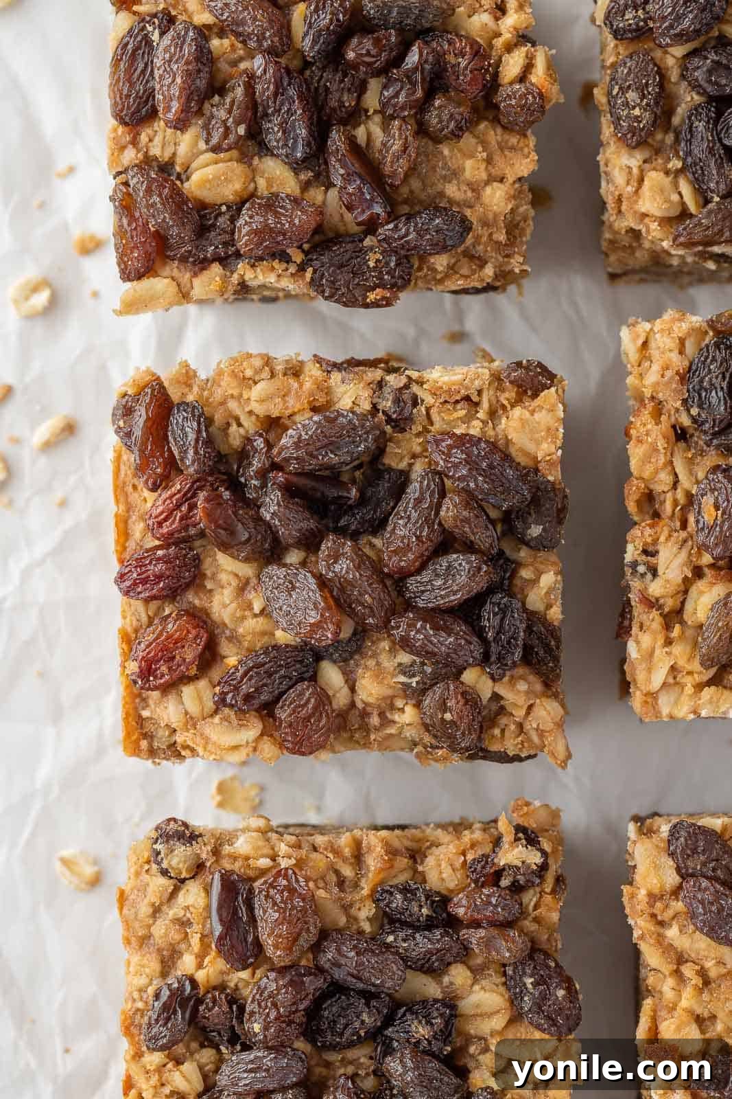 Close-up of freshly cut cinnamon raisin oatmeal breakfast bars, highlighting their chewy texture and plump raisins.
