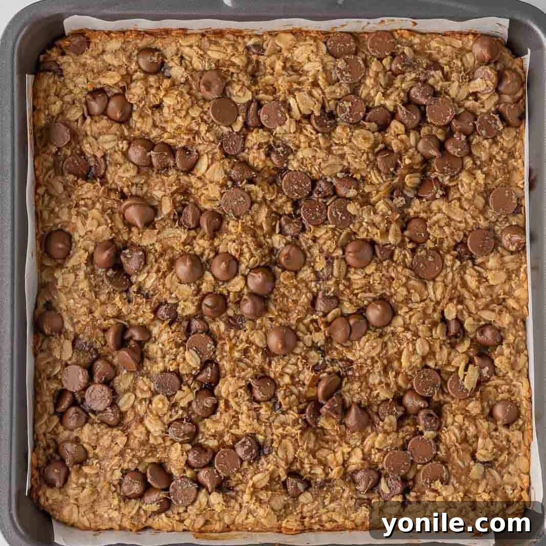 Chewy Chocolate Chip Peanut Butter Oatmeal Bars 6 Baked oatmeal bars in a pan.