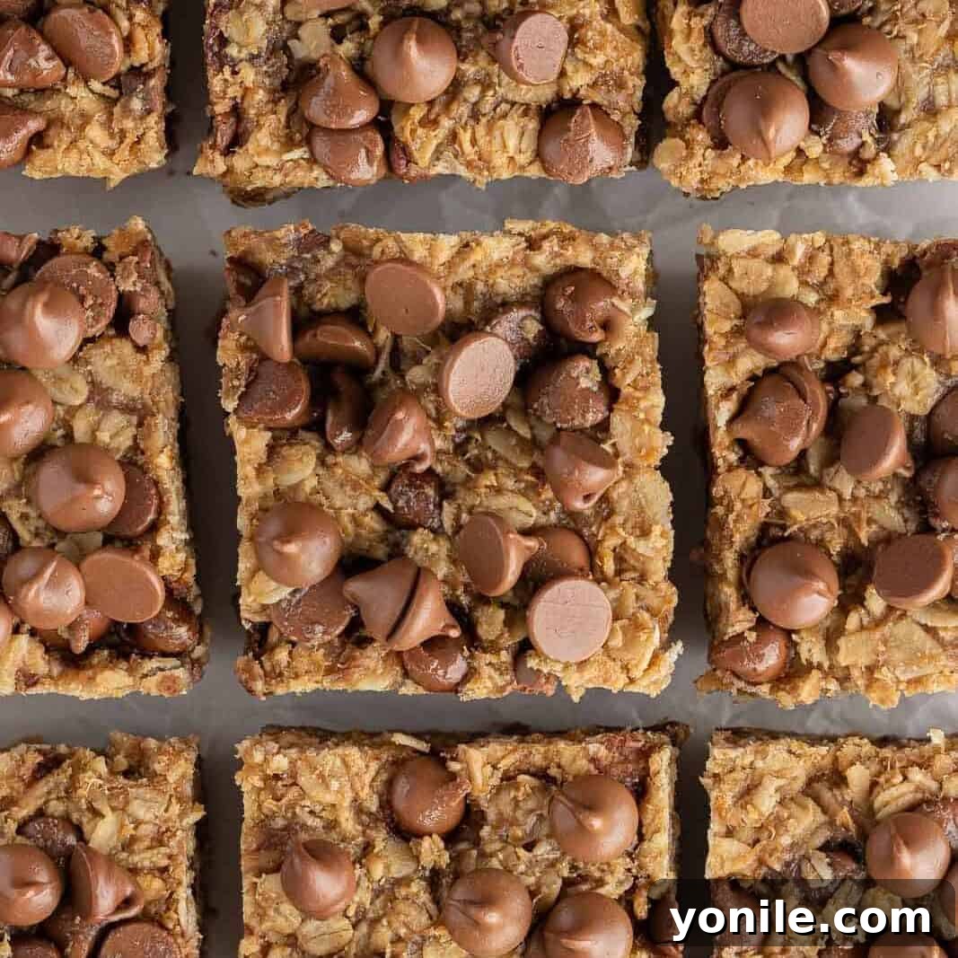Chewy Chocolate Chip Peanut Butter Oatmeal Bars 7 9 oatmeal bars topped with chocolate chips on a baking tray.