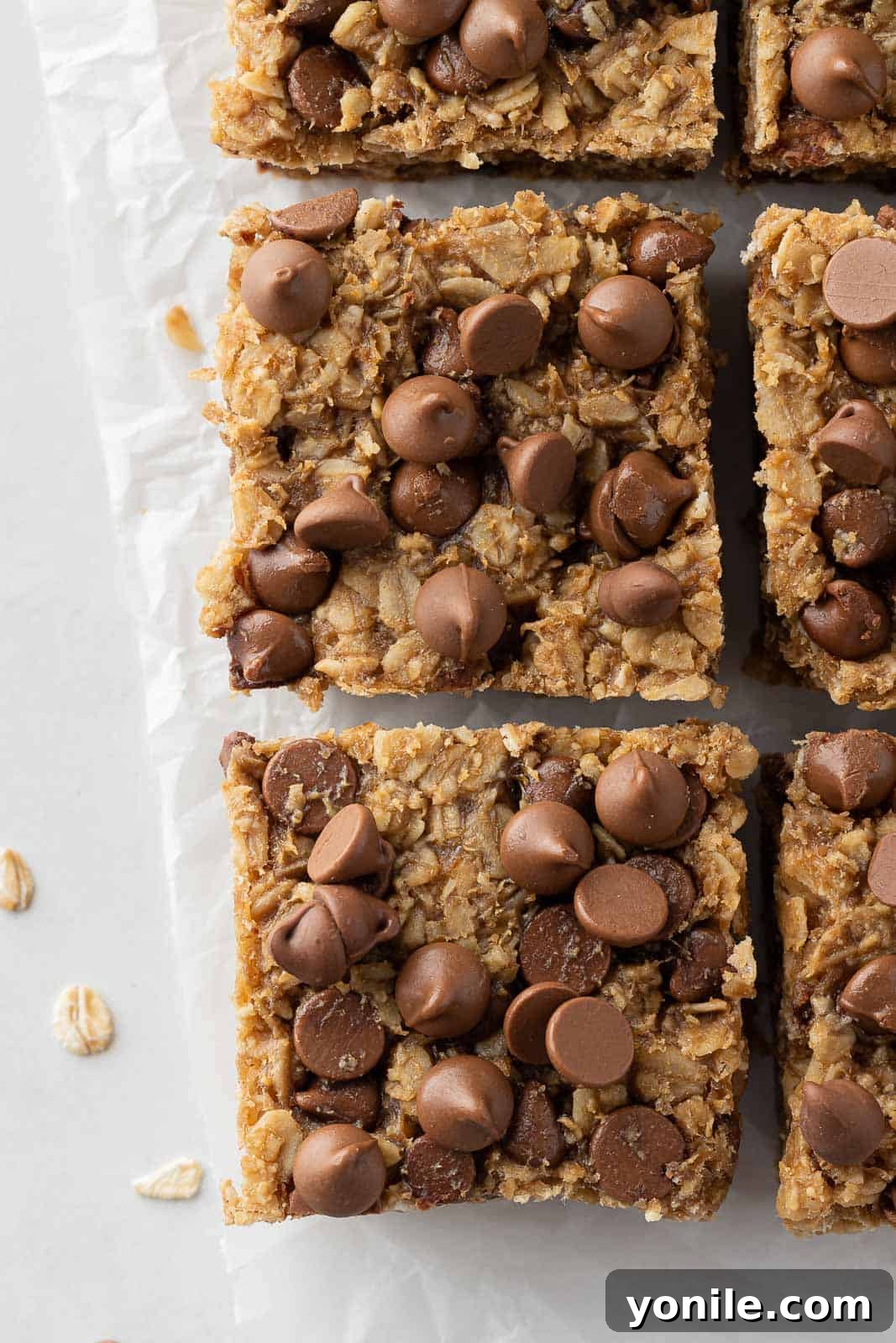 Chewy Chocolate Chip Peanut Butter Oatmeal Bars 10 Closeup of two chocolate chip peanut butter oatmeal bars on parchment.